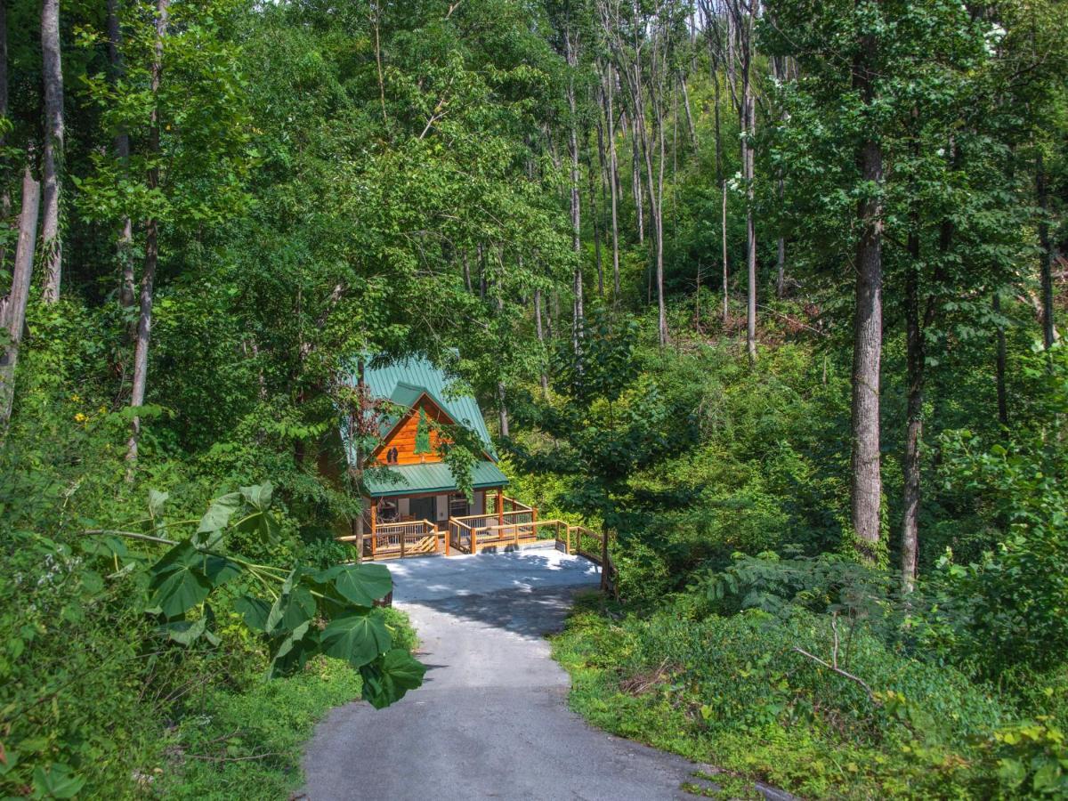 Bearly Hidden Villa Gatlinburg Exterior foto